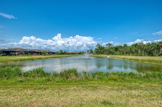 20636 Swallowtail Ct, Venice, FL 34293 - water view