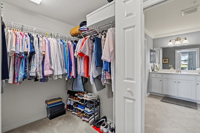 10808 Tarflower Dr Unit 102, Venice, FL 34293 - walk in closet with a sink