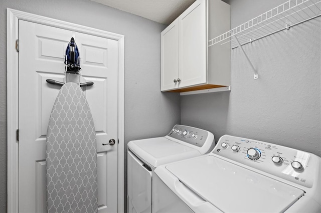 10808 Tarflower Dr Unit 102, Venice, FL 34293 - laundry area with washer and clothes dryer and cabinet space