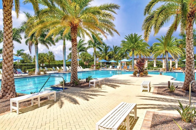 10808 Tarflower Dr Unit 102, Venice, FL 34293 - community pool featuring a patio