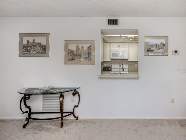 800 Capri Isles Blvd Unit 124, Venice, FL 34292 - photo 19