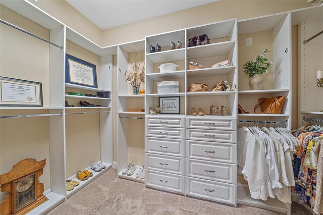 9220 43rd Ter W, Bradenton, FL 34209 - walk in closet with carpet floors