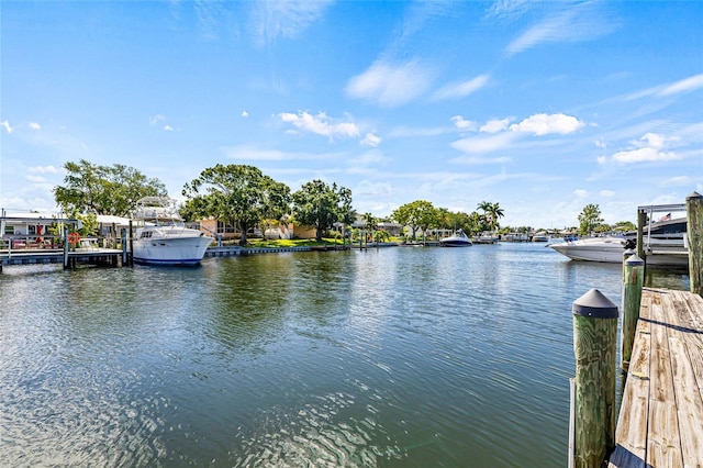 731 Flamingo Dr, Apollo Beach, FL 33572 - dock with a water view