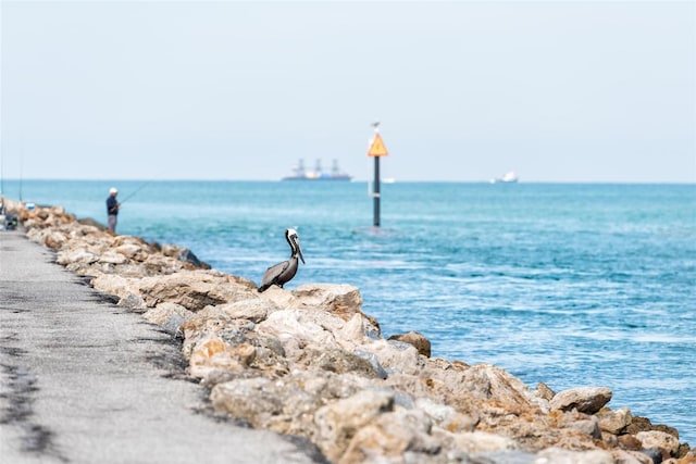 600 Gardens Edge Dr Unit 613, Venice, FL 34285 - water view