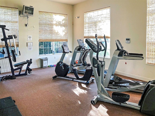 212 Triano Cir Unit 212, Venice, FL 34292 - gym with baseboards and carpet