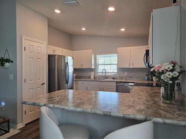 3003 58th Way E, Palmetto, FL 34221 - kitchen featuring stainless steel appliances, a sink, a peninsula, dark wood-style flooring, and lofted ceiling