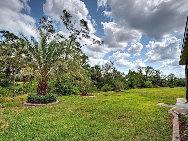 view of green lawn