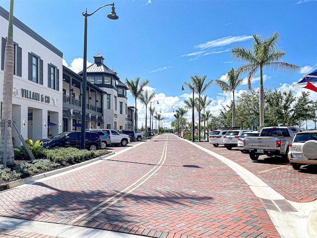 view of decorative street with street lights and curbs