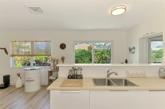 4321 Shamrock Dr, Venice, FL 34293 - kitchen with a sink, plenty of natural light, and light countertops