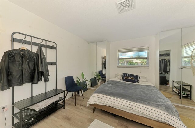 4321 Shamrock Dr, Venice, FL 34293 - bedroom with multiple windows, light wood-style floors, and a closet