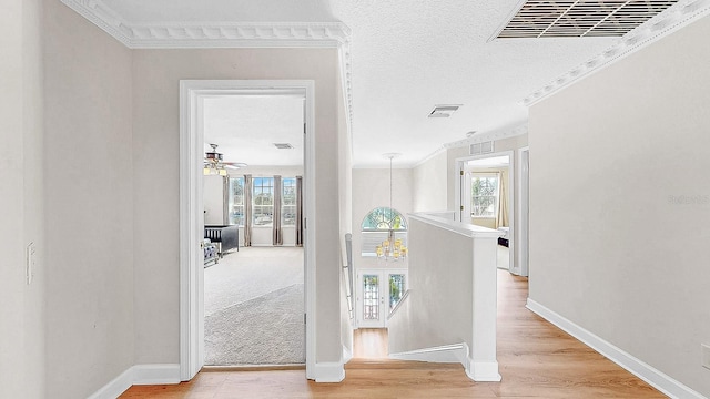 632 Tanana Fall Dr, Ruskin, FL 33570 - hall featuring crown molding, baseboards, and light wood-style floors