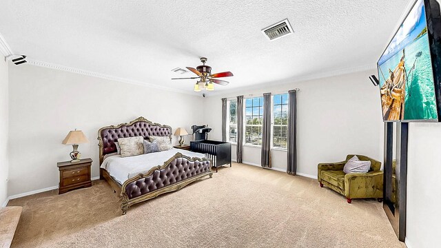 632 Tanana Fall Dr, Ruskin, FL 33570 - bedroom featuring carpet, crown molding, ceiling fan, baseboards, and a textured ceiling