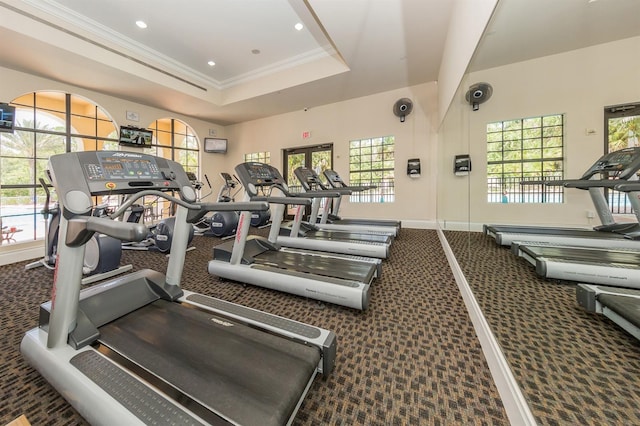 165 Tiziano Way N, Venice, FL 34275 - workout area with carpet floors, crown molding, plenty of natural light, baseboards, and a tray ceiling