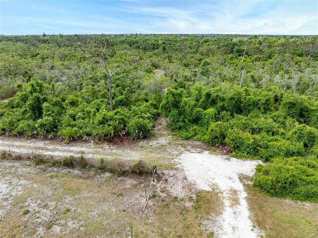 33431 Serene Dr, Punta Gorda, FL 33982 - photo 3