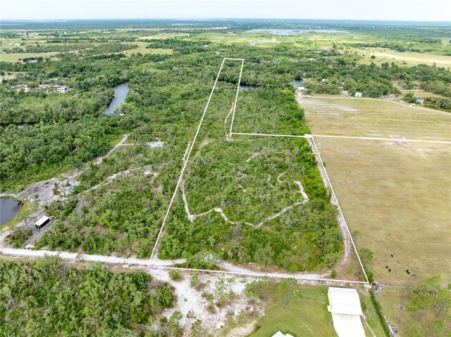 33431 Serene Dr, Punta Gorda, FL 33982 - photo 6