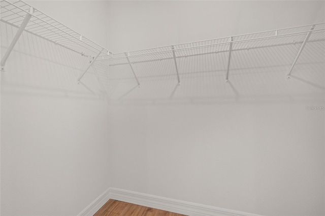 4390 Asteria Ter, North Port, FL 34287 - walk in closet featuring light wood finished floors