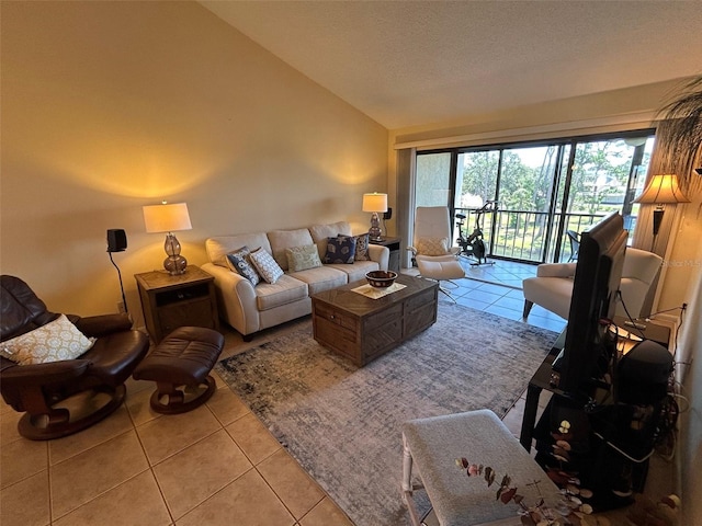 1154 Bird Bay Way Unit 303, Venice, FL 34285 - living area featuring lofted ceiling, tile patterned flooring, and a textured ceiling