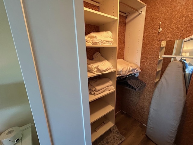 1154 Bird Bay Way Unit 303, Venice, FL 34285 - spacious closet with wood finished floors