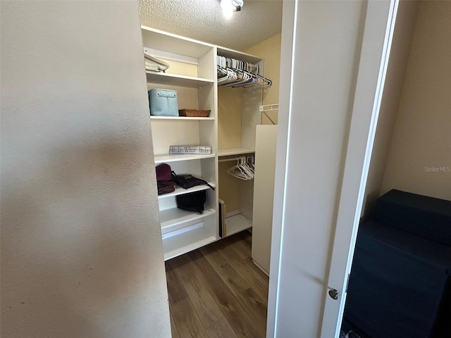 1154 Bird Bay Way Unit 303, Venice, FL 34285 - spacious closet with dark wood-style flooring
