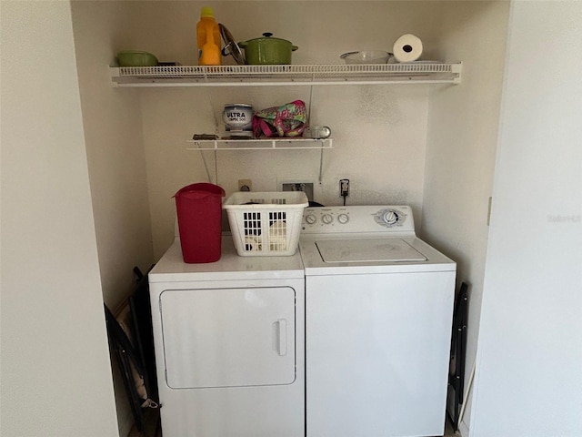 1154 Bird Bay Way Unit 303, Venice, FL 34285 - laundry area with washer and clothes dryer