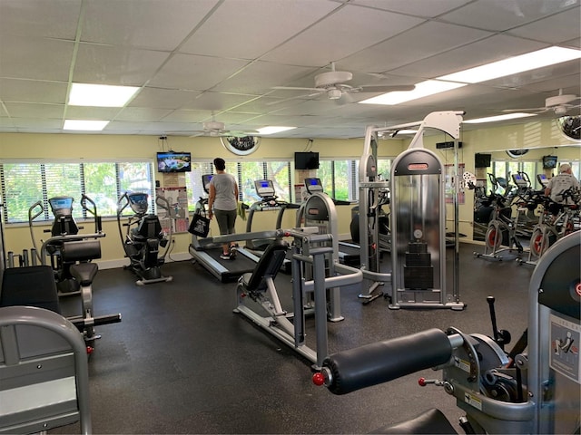 1154 Bird Bay Way Unit 303, Venice, FL 34285 - workout area with ceiling fan, a drop ceiling, and healthy amount of natural light