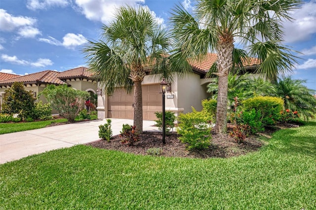 241 Marcheno Way, Nokomis, FL 34275 - mediterranean / spanish-style house with stucco siding, driveway, a tiled roof, and a front yard