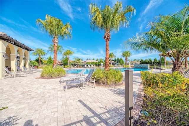 241 Marcheno Way, Nokomis, FL 34275 - view of patio / terrace featuring a community pool