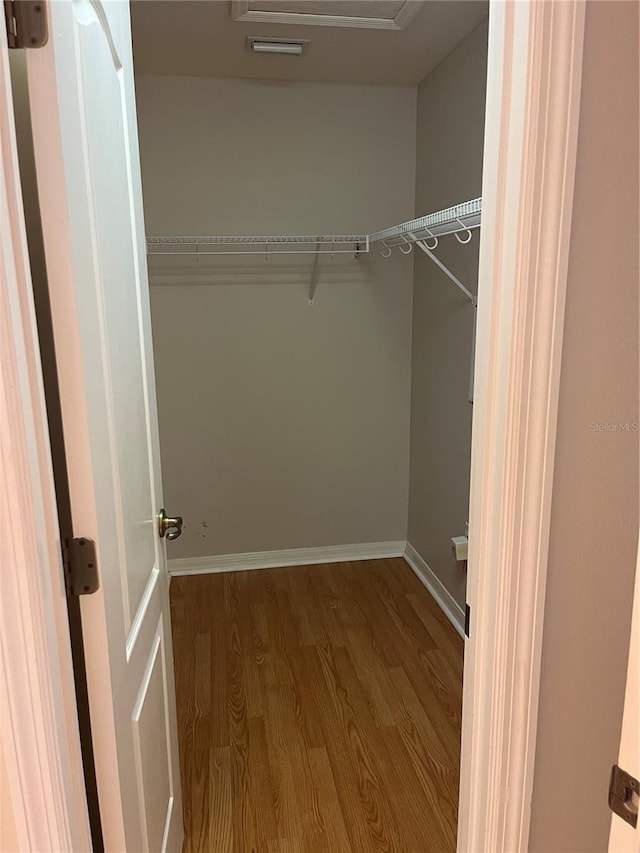 5966 Willows Bridge Loop, Ellenton, FL 34222 - walk in closet with wood finished floors