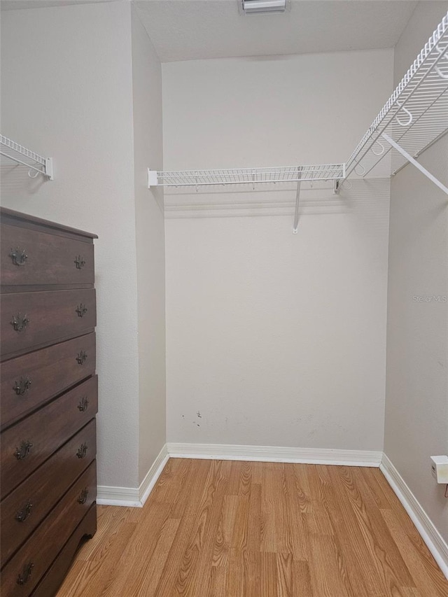 5966 Willows Bridge Loop, Ellenton, FL 34222 - walk in closet with light wood-type flooring