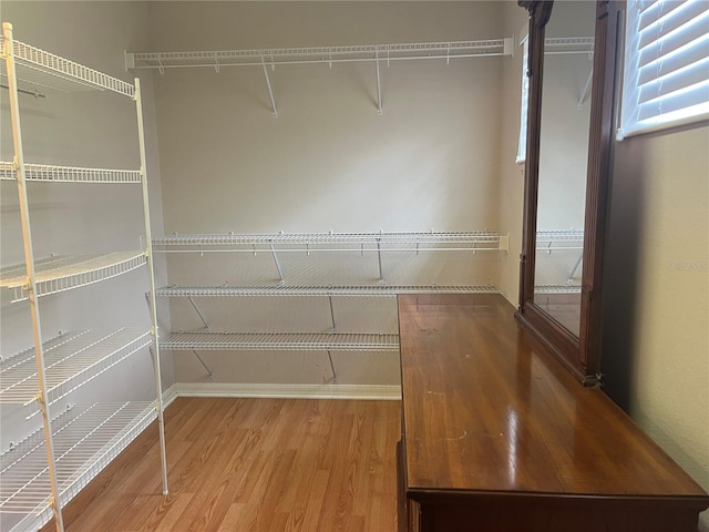 5966 Willows Bridge Loop, Ellenton, FL 34222 - walk in closet with light wood-type flooring