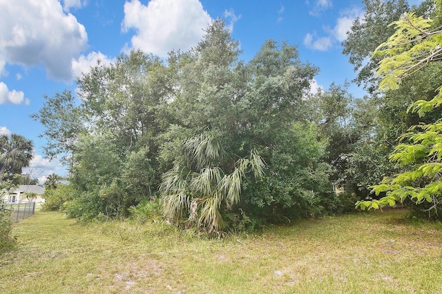 27416 Natal Dr, Punta Gorda, FL 33983 - view of yard