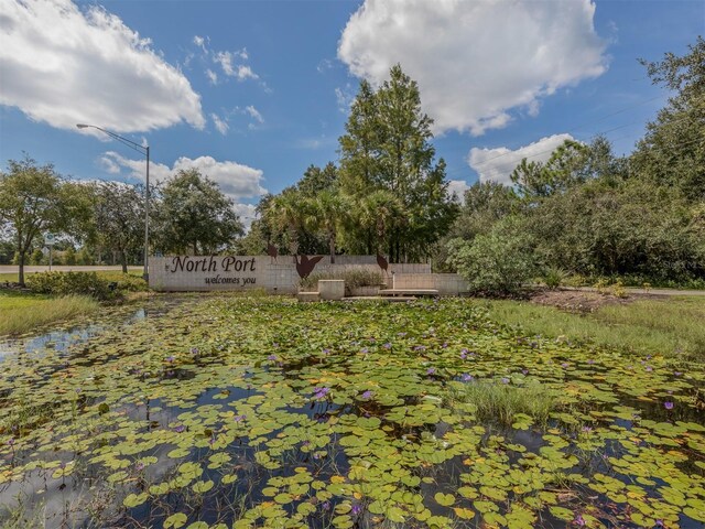 6231 Jordan St, North Port, FL 34287 - view of yard