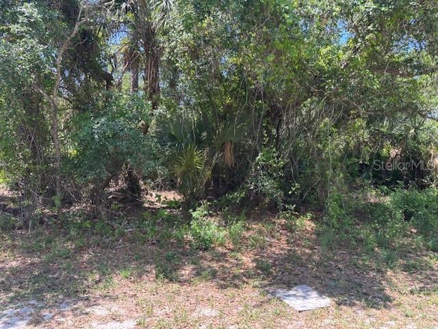 18431 Fremont Ave, Port Charlotte, FL 33954