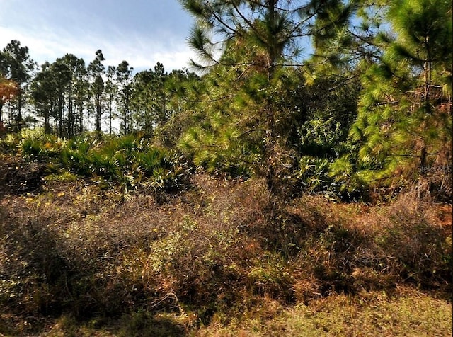 Filbert St, North Port, FL 34288