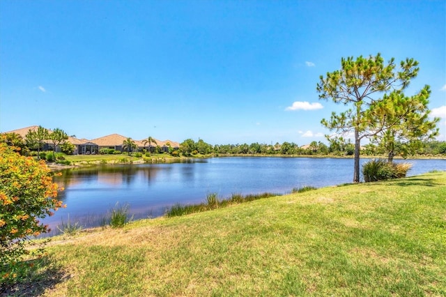 21649 Avon Park Ct, Venice, FL 34293 - water view