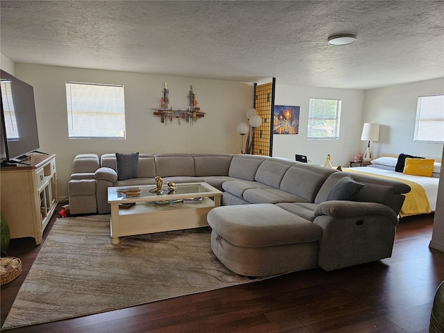 1103 Lucille Ave, Nokomis, FL 34275 - living room with wood finished floors and a textured ceiling