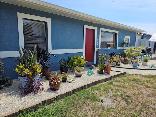 1103 Lucille Ave, Nokomis, FL 34275 - doorway to property with stucco siding