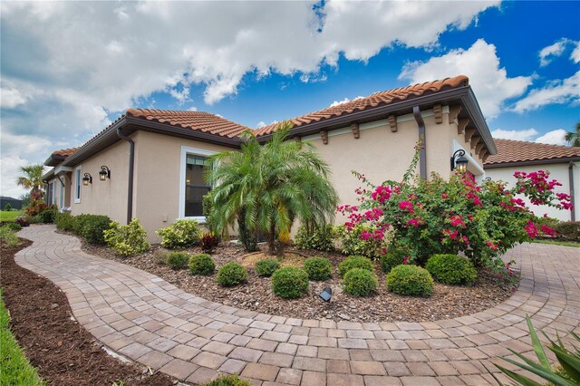 10410 Inglenook Ter, Palmetto, FL 34221 - view of side of home featuring a tiled roof and stucco siding