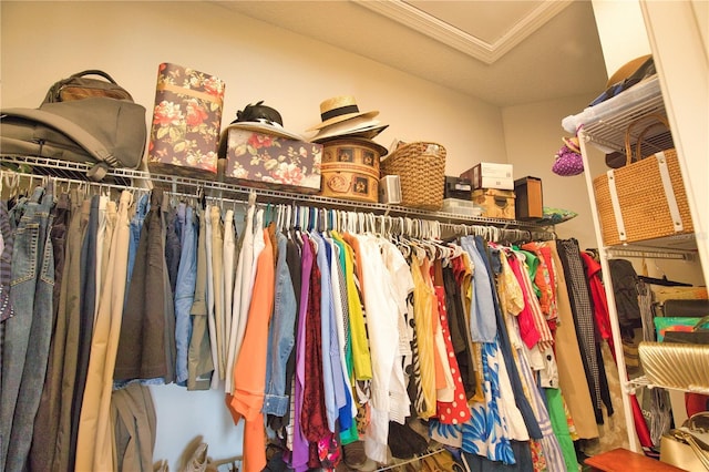 10410 Inglenook Ter, Palmetto, FL 34221 - walk in closet featuring attic access