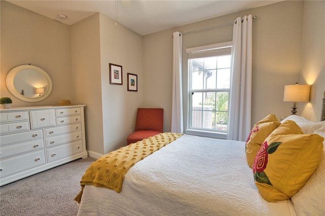 10410 Inglenook Ter, Palmetto, FL 34221 - bedroom featuring carpet floors, multiple windows, and baseboards