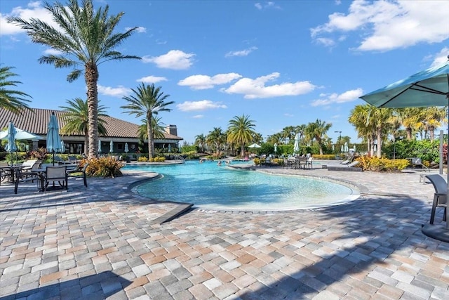 10410 Inglenook Ter, Palmetto, FL 34221 - community pool featuring a patio area