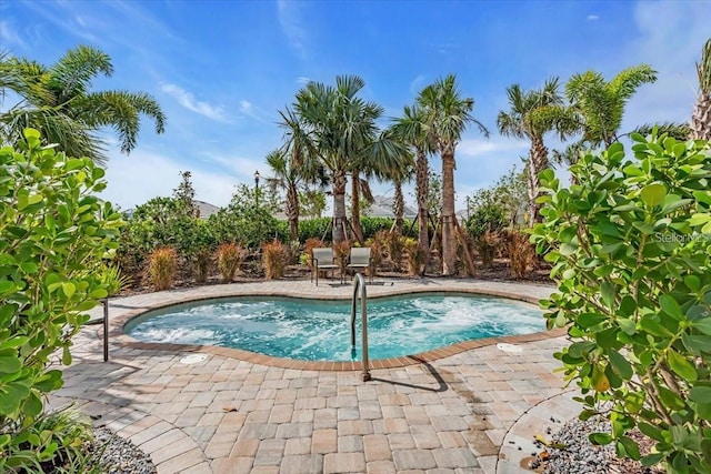 10410 Inglenook Ter, Palmetto, FL 34221 - view of swimming pool with a swimming pool and an in-ground hot tub