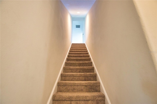 8209 Snowy Egret Pl, Bradenton, FL 34202 - stairway featuring carpet and baseboards