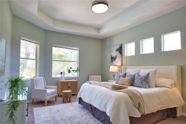 8209 Snowy Egret Pl, Bradenton, FL 34202 - carpeted bedroom with multiple windows and a tray ceiling