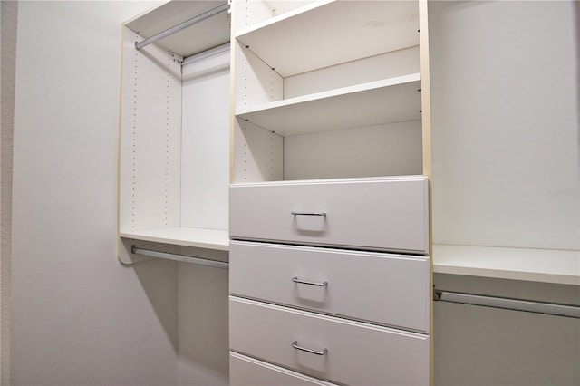 8209 Snowy Egret Pl, Bradenton, FL 34202 - view of spacious closet
