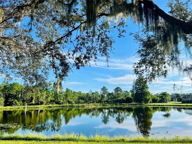 8209 Snowy Egret Pl, Bradenton, FL 34202 - water view