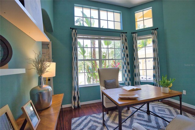 8209 Snowy Egret Pl, Bradenton, FL 34202 - office featuring baseboards, plenty of natural light, wood finished floors, and a towering ceiling