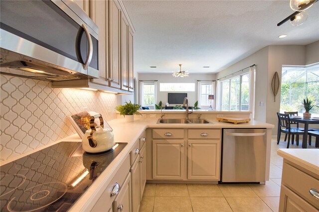 8209 Snowy Egret Pl, Bradenton, FL 34202 - kitchen featuring appliances with stainless steel finishes, a sink, a peninsula, and healthy amount of natural light