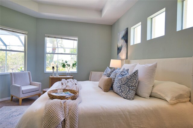 8209 Snowy Egret Pl, Bradenton, FL 34202 - view of carpeted bedroom