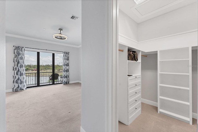 209 E Venice Ave, Venice, FL 34285 - spacious closet featuring light colored carpet